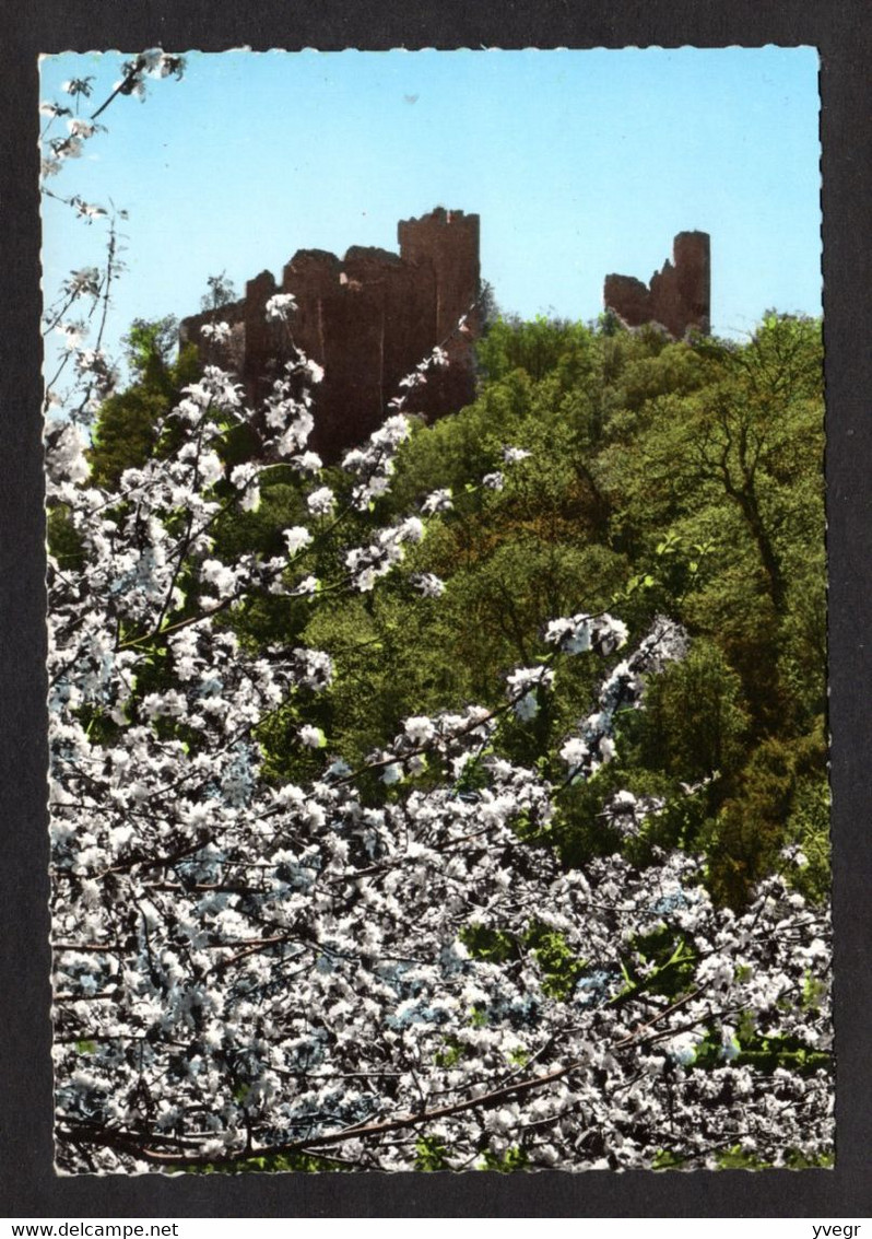 couleur vert (11).jpg